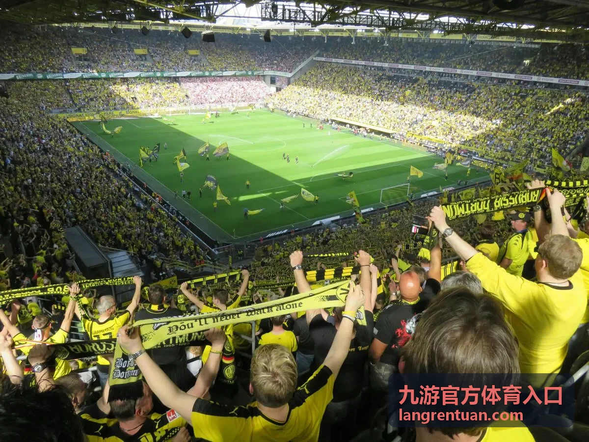 核对九游官方体育入口地址来源的操作示意